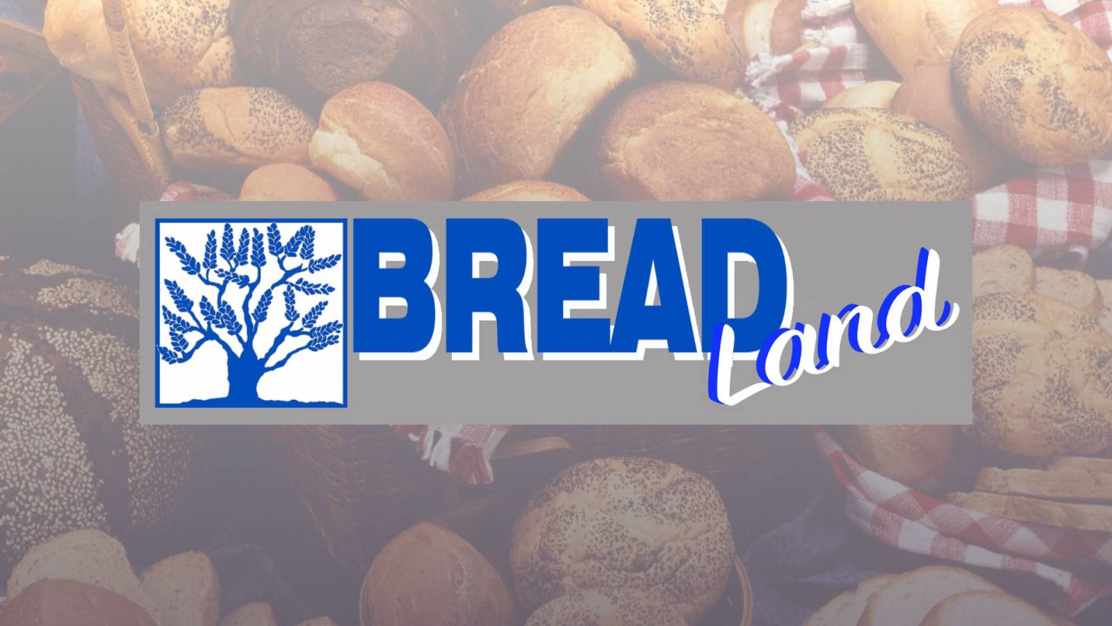 Bread land : site pour acheter des machines de boulangerie pour pétrissage et façonnage Saint Rémy dans Les Alpilles