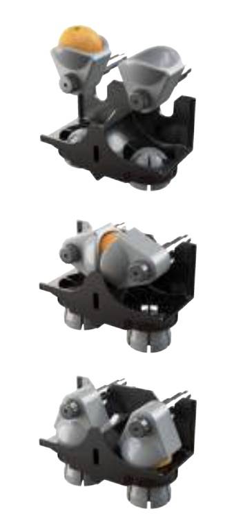 Z14 BREVET EXCLUSIF PRESSAGE VERTICAL BREAD LAND CORSE sud France