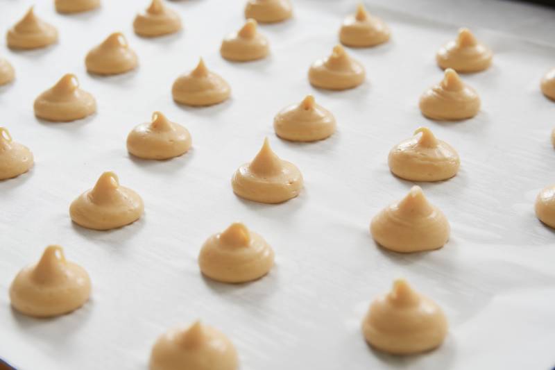 SATURNE EVO batteur mélangeur  - BONGARD